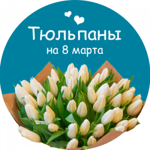 Купить тюльпаны в Яранске